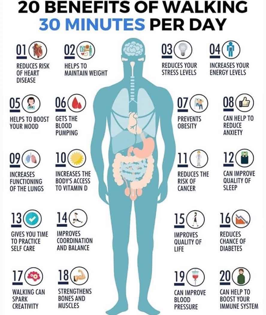 Walk 30 Minutes Every Day!